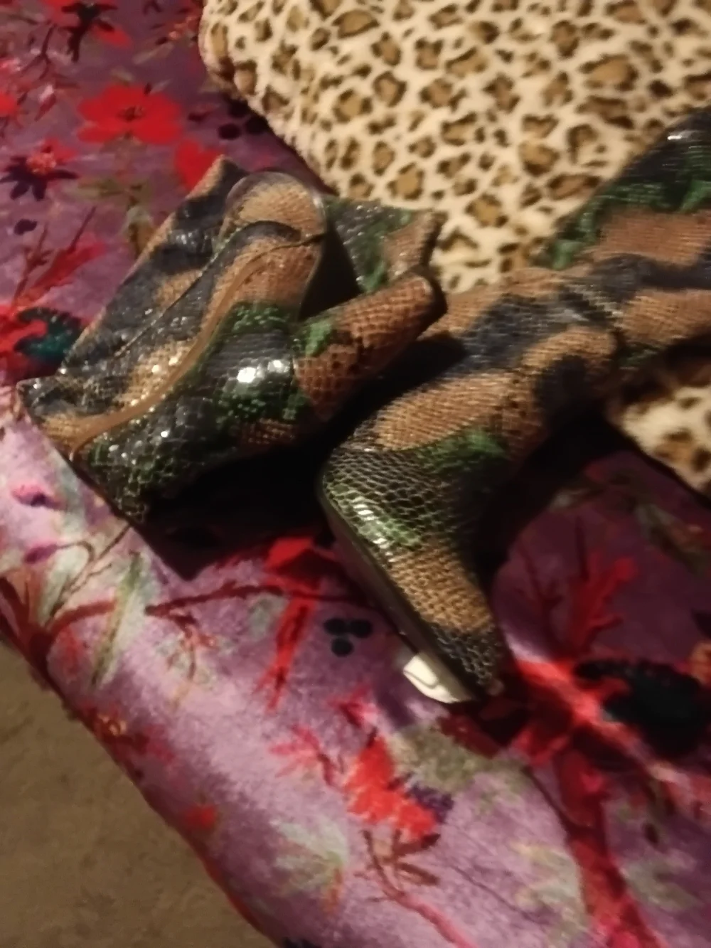 Catherine Malandrino Green & Black Snake-Print Over-the-Knee Boots